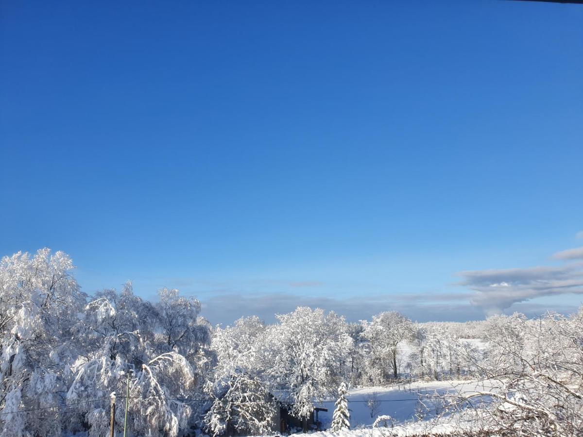 Energetischer Urlaub In Der Eifel Germeter المظهر الخارجي الصورة