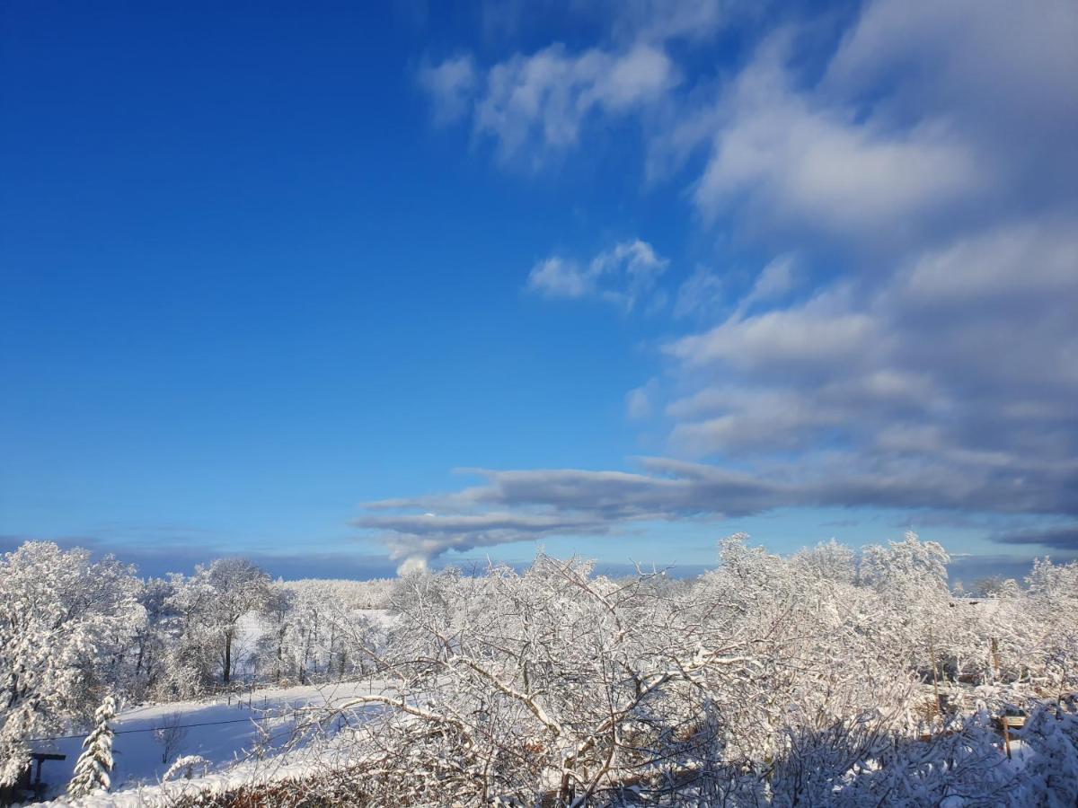 Energetischer Urlaub In Der Eifel Germeter المظهر الخارجي الصورة